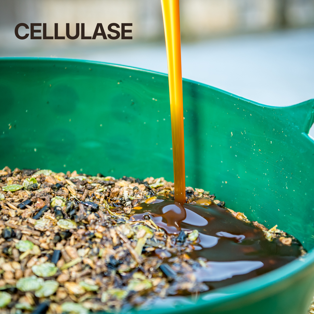 Cellulase