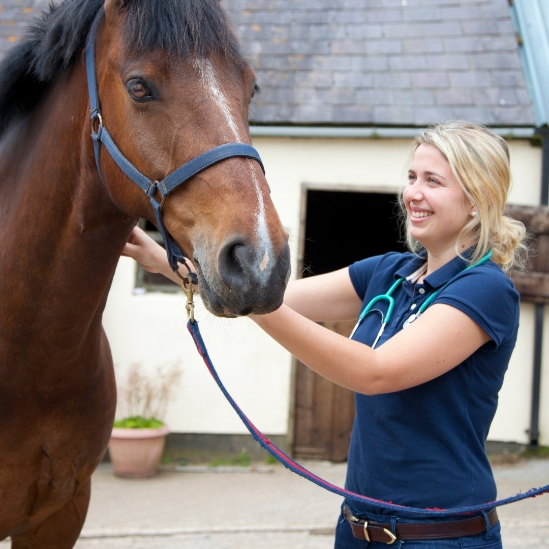 Equine Veterinary Journal – Do horses get irritable bowel syndrome?