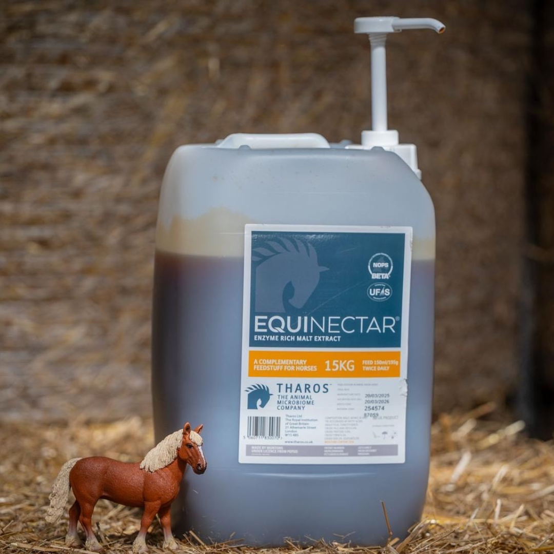 EquiNectar: The Science-Backed Solution for Equine Digestive Health