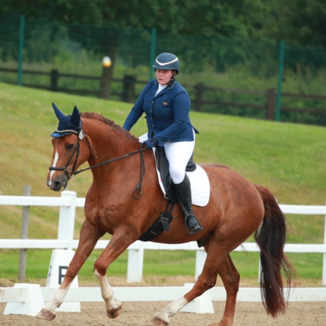 Horse of the Week – Fergus
