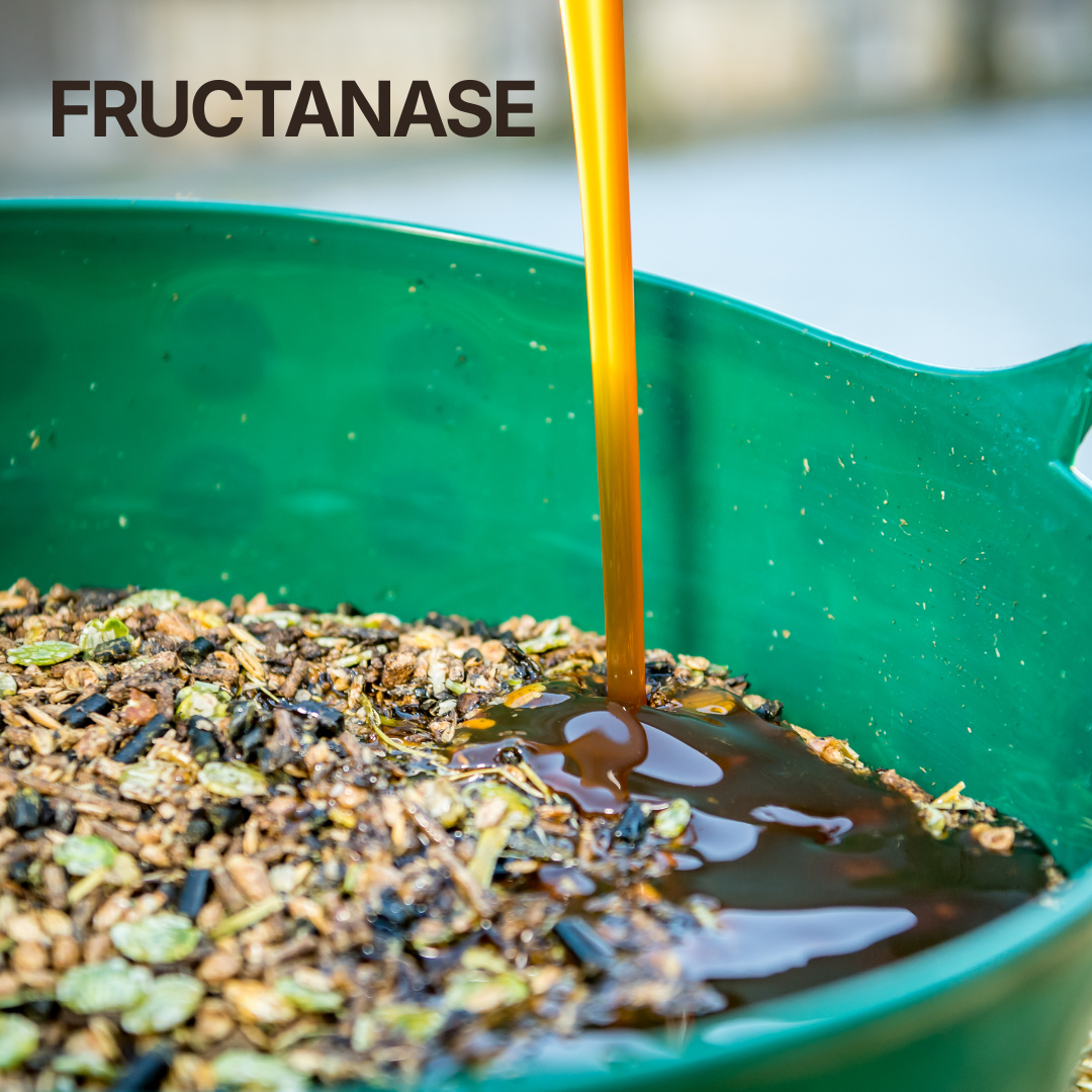 Fructanase