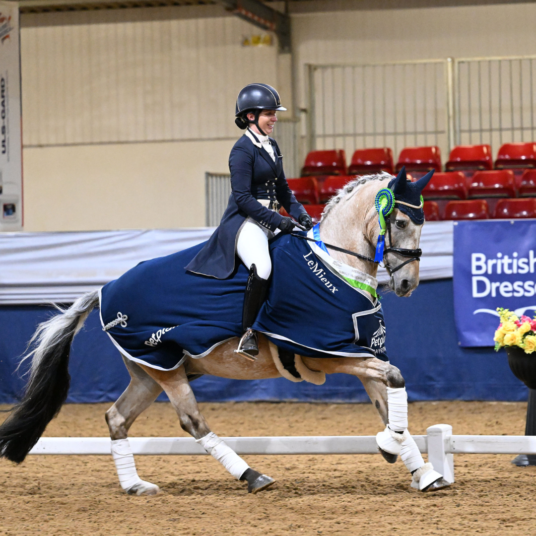 Horse of the week – Harvey #2