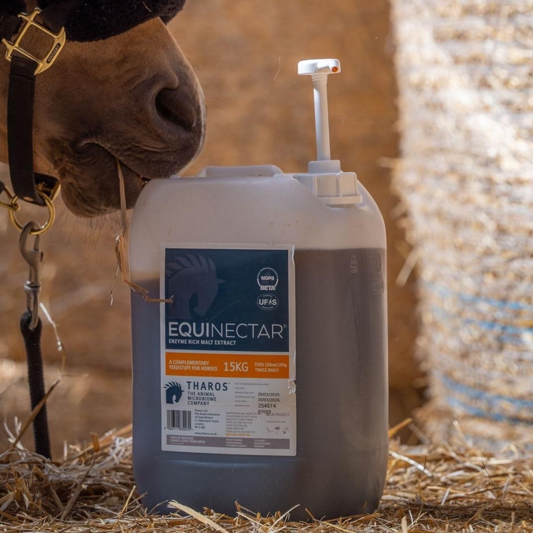 Harnessing the power of the equine gut microbiome for optimal health and performance
