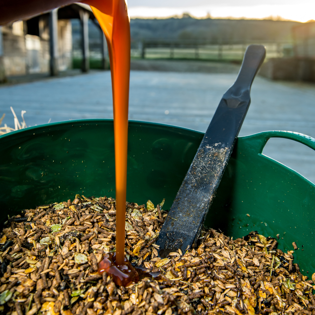 How EquiNectar is made – harnessing the enzymes from barley for your horse
