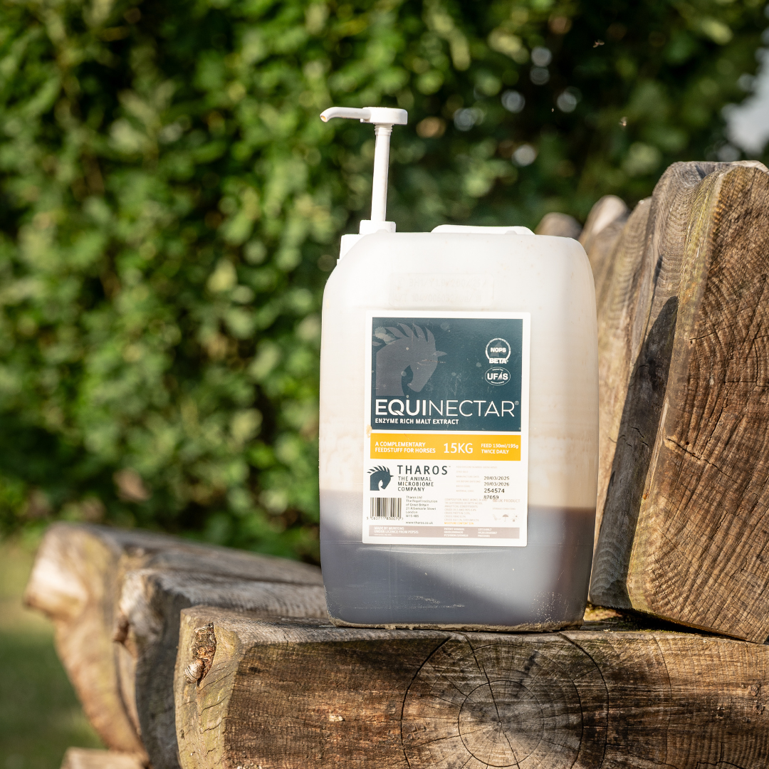 How gut health affects behaviour and mood in horses, humans and other animals