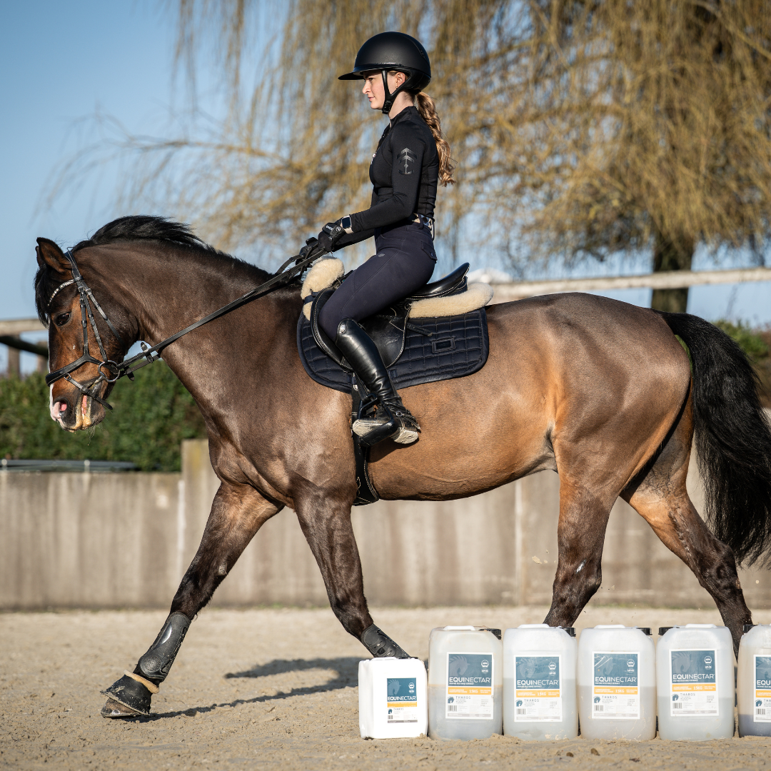 The Magnesium Paradox: Why 'Calming' Supplements Can Cause Hyper-Reactivity