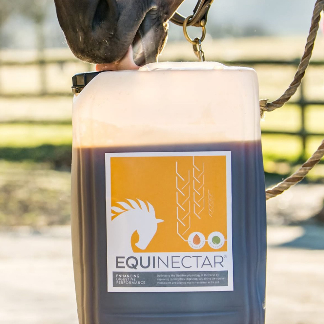 Vet Times – EquiNectar – Volume 54 | January 09, 2024