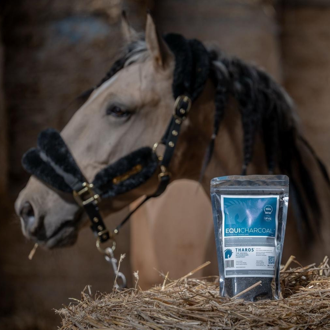 Introducing EquiCharcoal: Complete Equine Digestive Support with EquiNectar