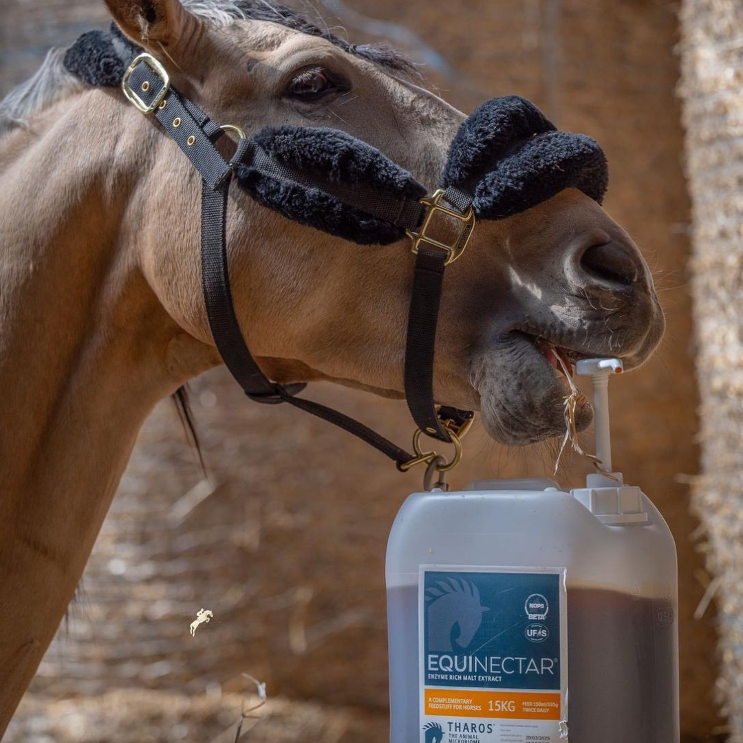 Investigation into horse reactivity when supplementing with EquiNectar