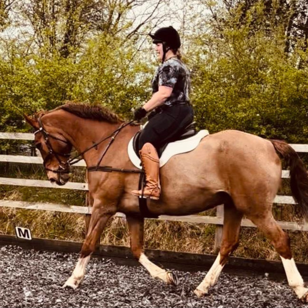Horse of the Week – Mouse