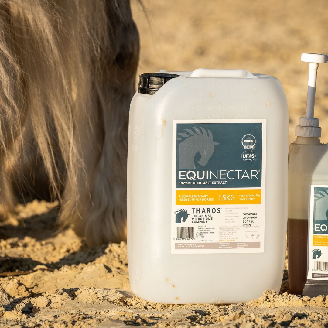 Nutritional Support for Horses Being Treated for Ulcers