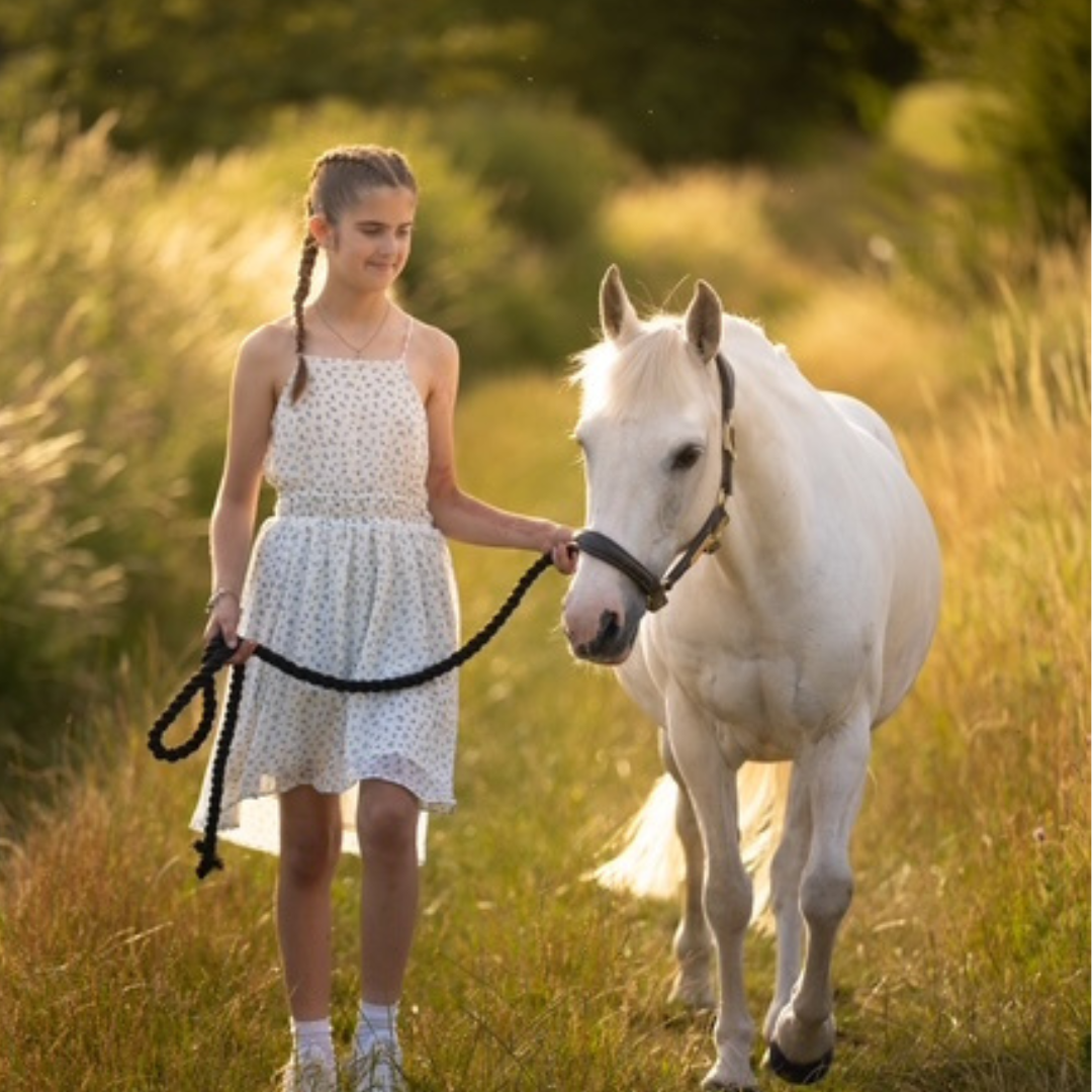 Horse of the week – Penny