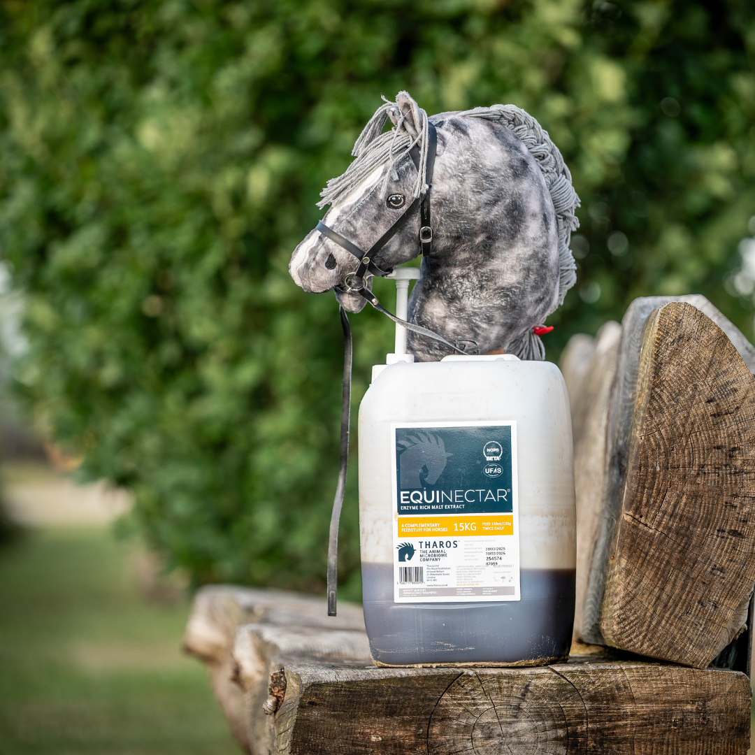 Spring Grass Management: Why EquiNectar is Valuable for Your Horse’s Digestive Health