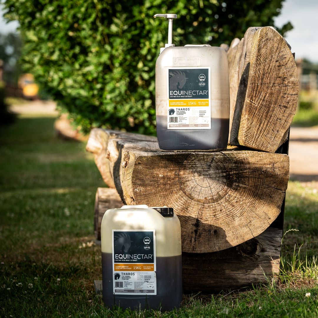 Spring Grass & Your Horse's Hindgut: What Every Owner Needs to Know