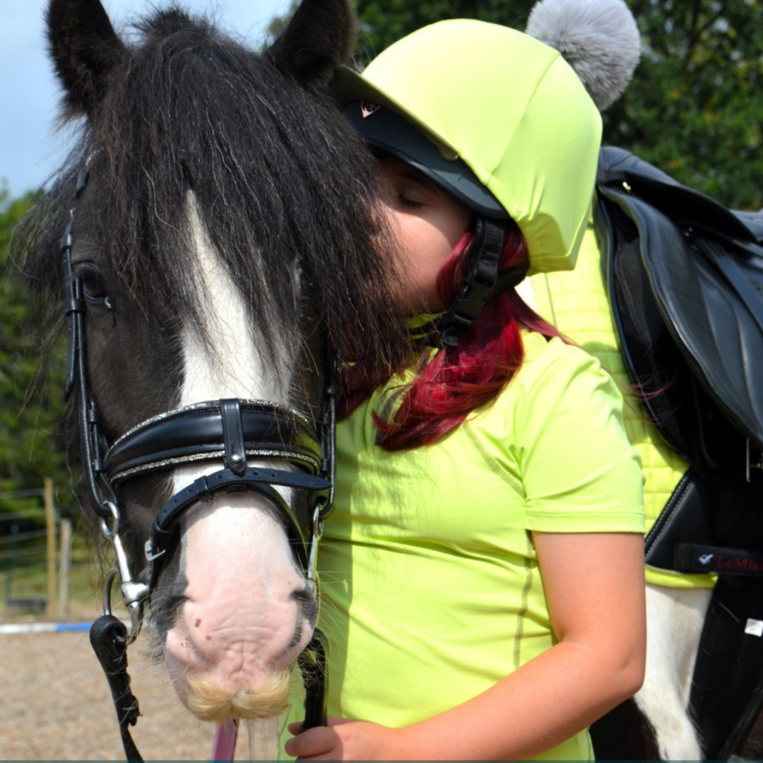 Horse of the Week – Teddy