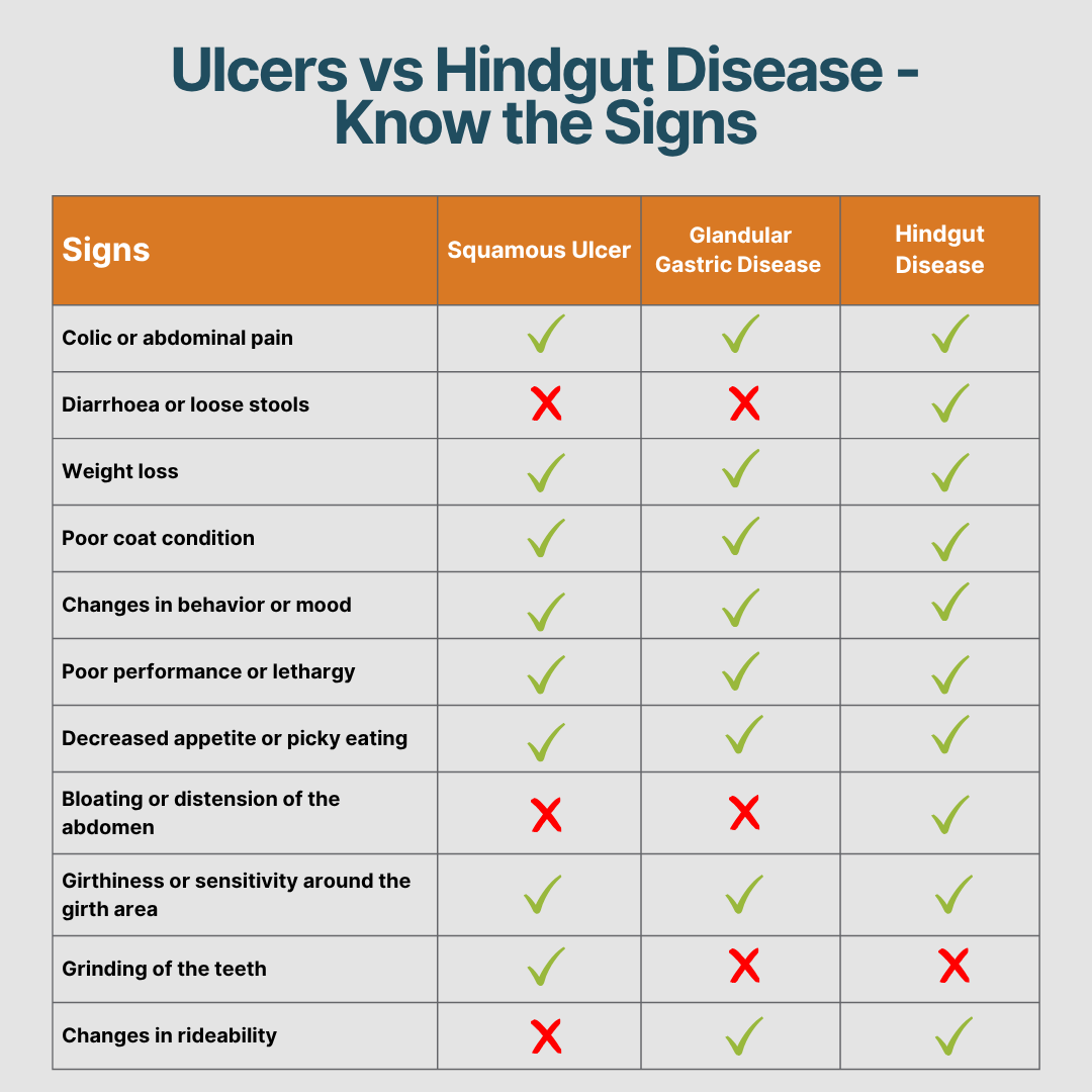 Ulcers or Hindgut Disease? Unravelling the Similarities and Differences