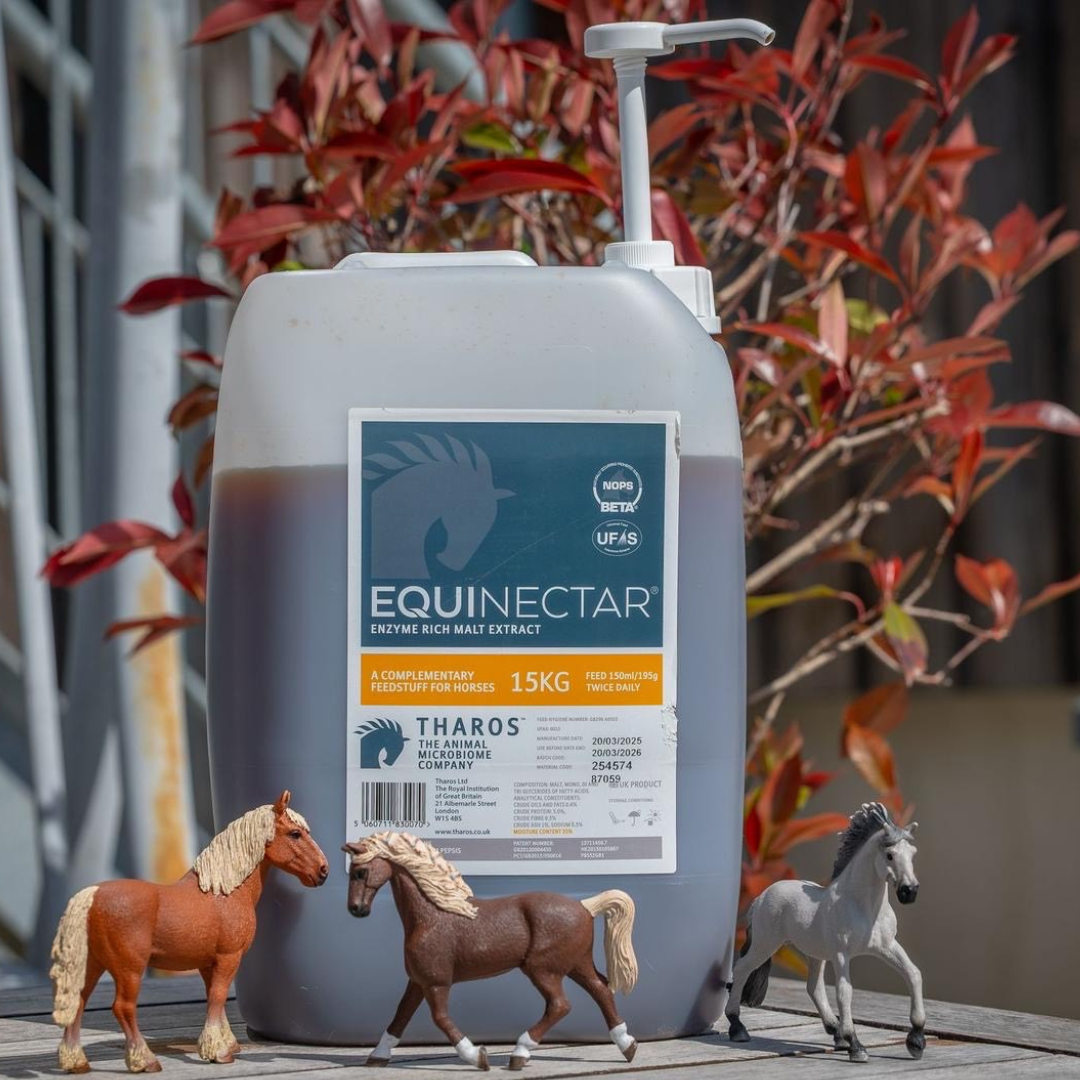 Unlocking Optimal Horse Digestion: EquiNectar and the Power of Enzymes