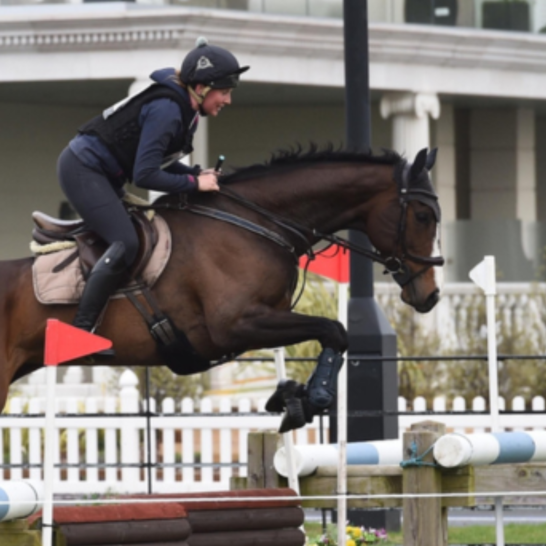 Horse of the week – Vossi
