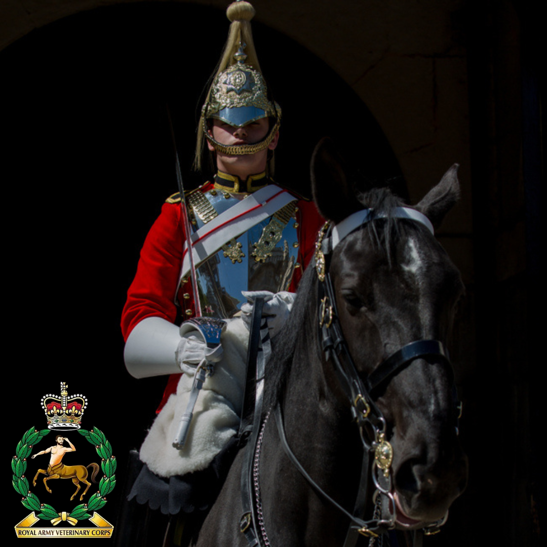EquiNectar Chosen by the Household Cavalry: Targeting Equine Gut Health