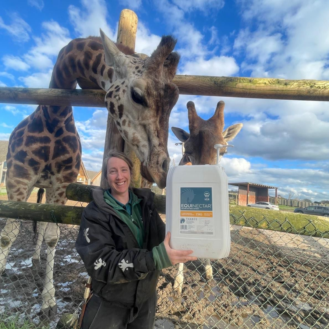 We're Reaching New Heights… Literally