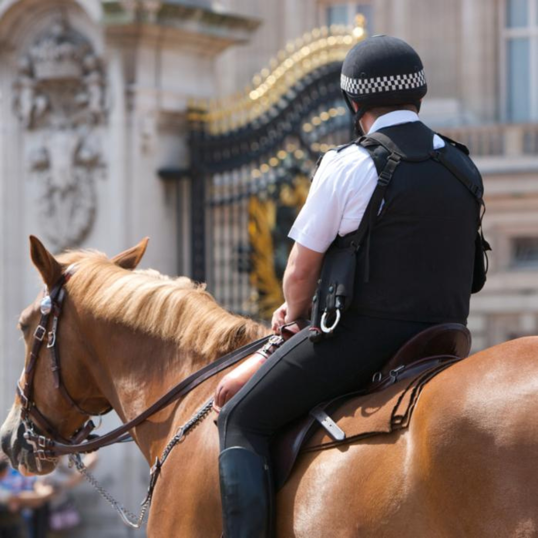 Metropolitan Police choose EquiNectar to optimise horse digestion