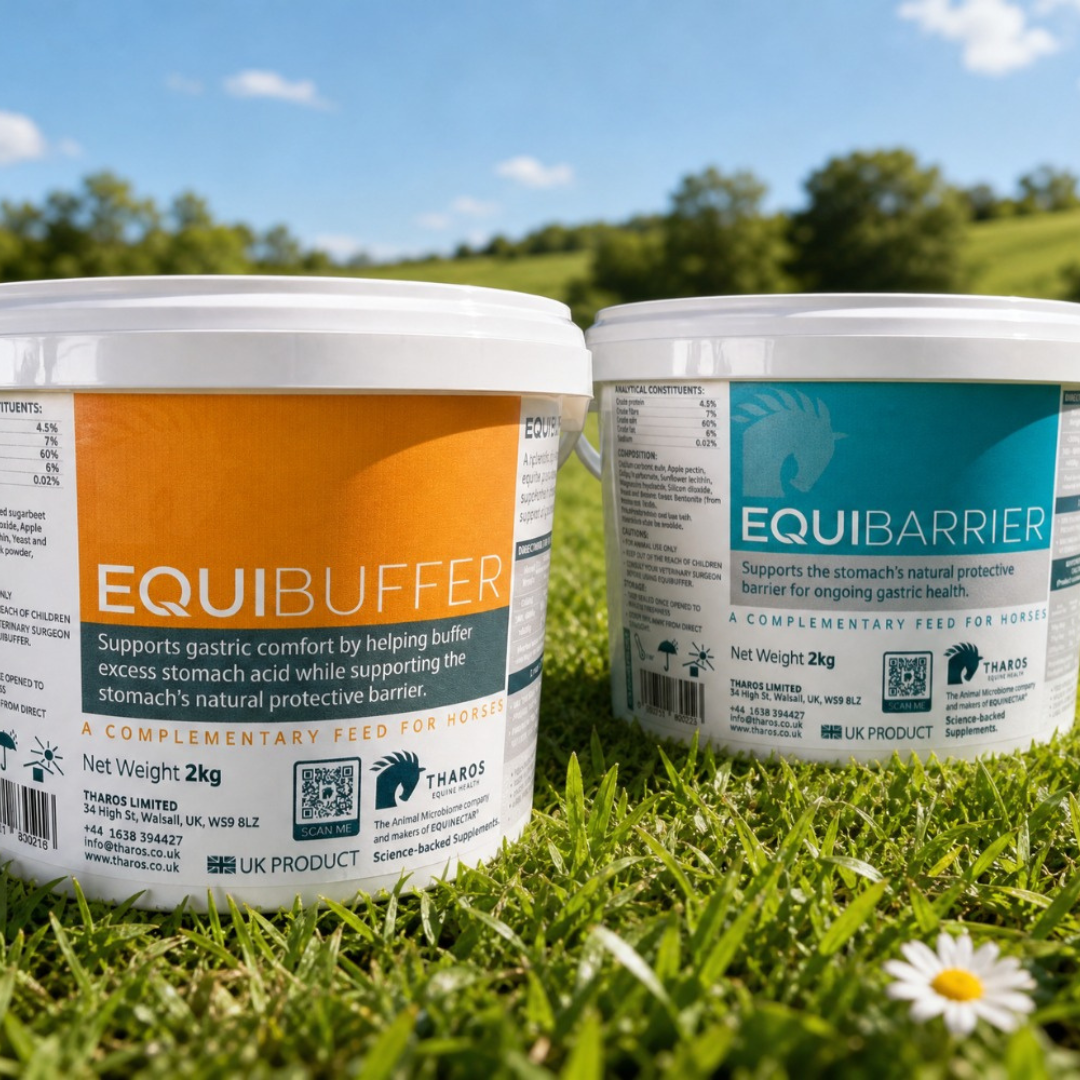 EquiBuffer and EquiBarrier: Completing the EquiNectar Range