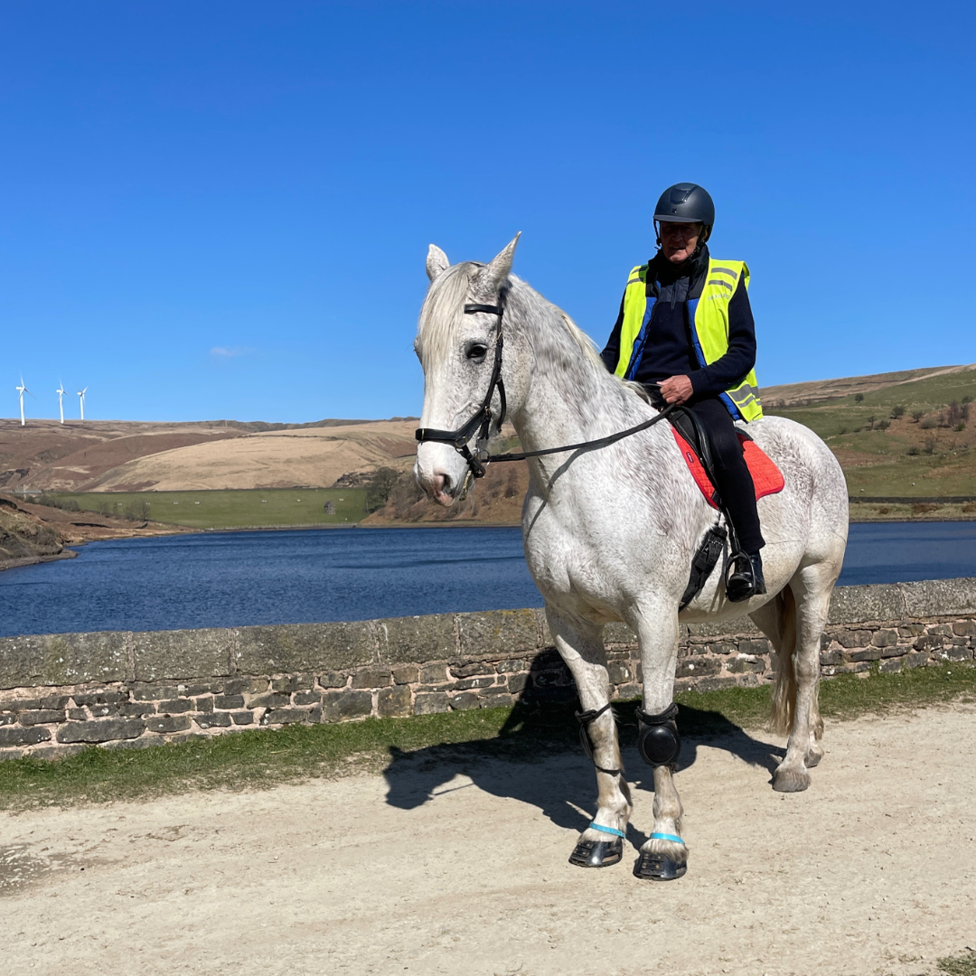 Horse of the week – Storm #2