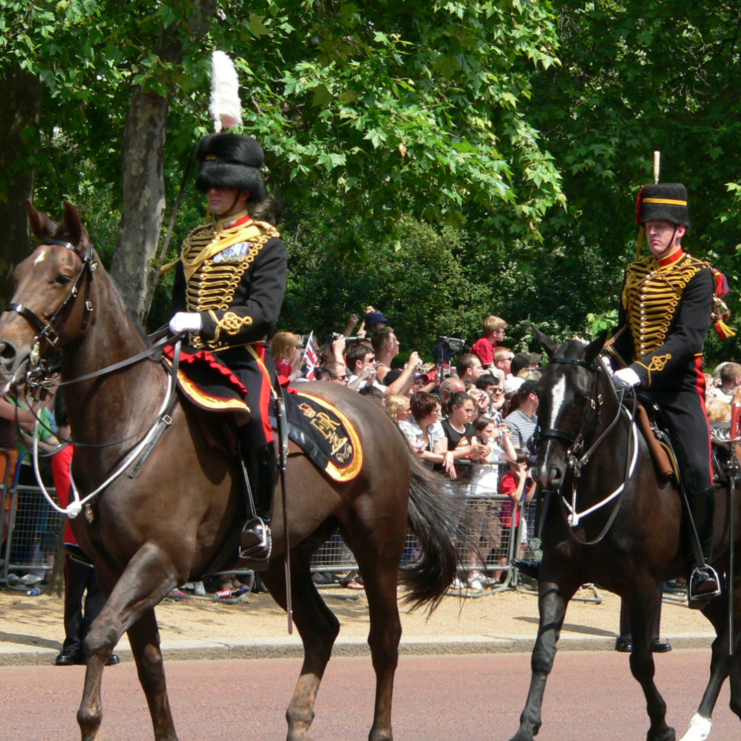 With EquiNectar, The King’s Troop RHA Sets Their Sights on Improved Gut Health