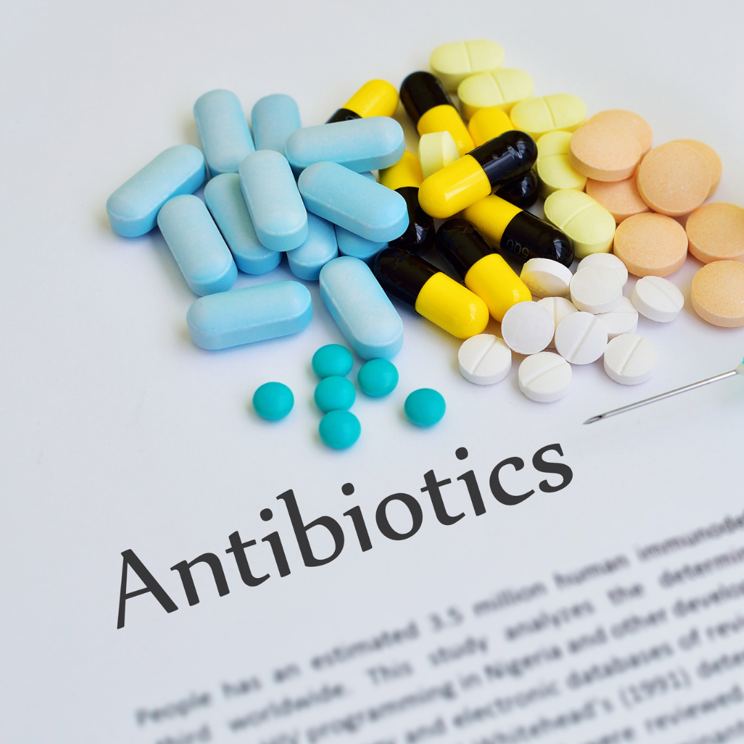 Antibiotics and the Equine Microbiome