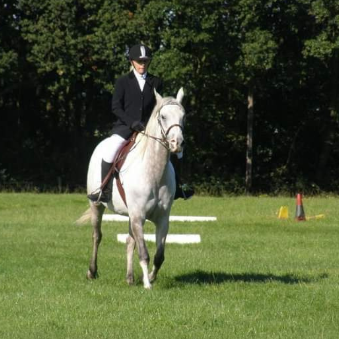 Horse of the week – Bailey