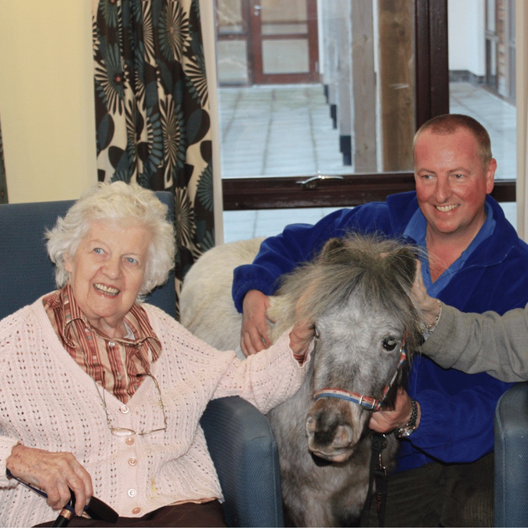 Horse of the week - Bambi