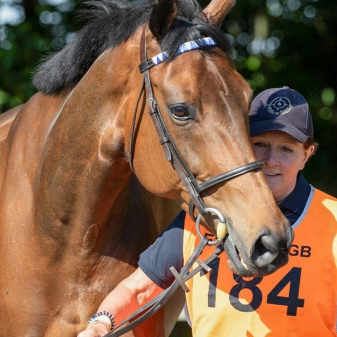 Cru Bourgeois: From Horse of the Week to National Championddy