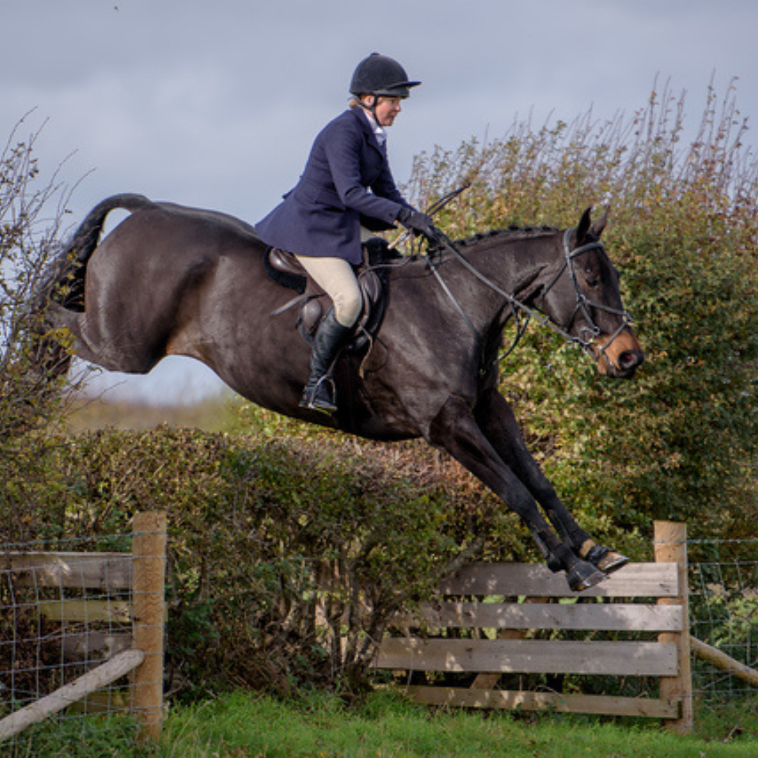 Customer Testimonial – Diane Marshall