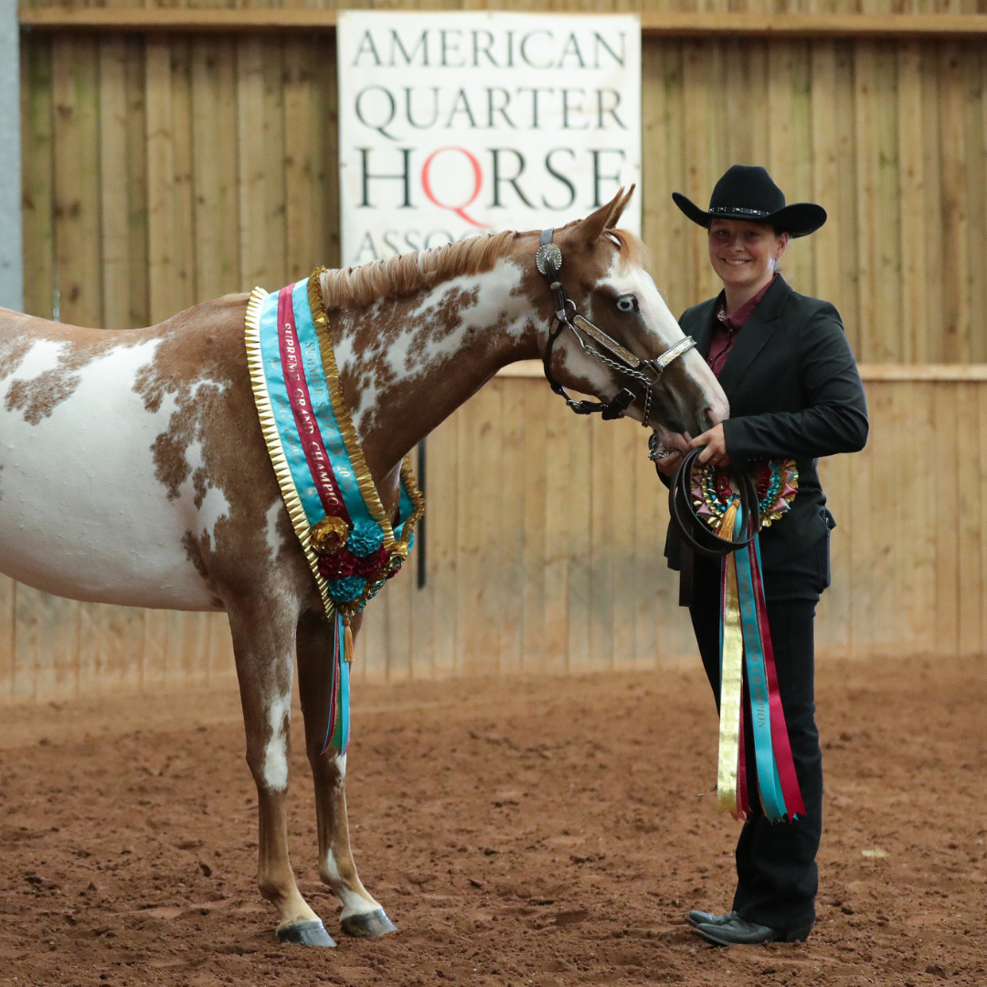 Horses of the Week- Emma Chapman’s Equestrian Journey