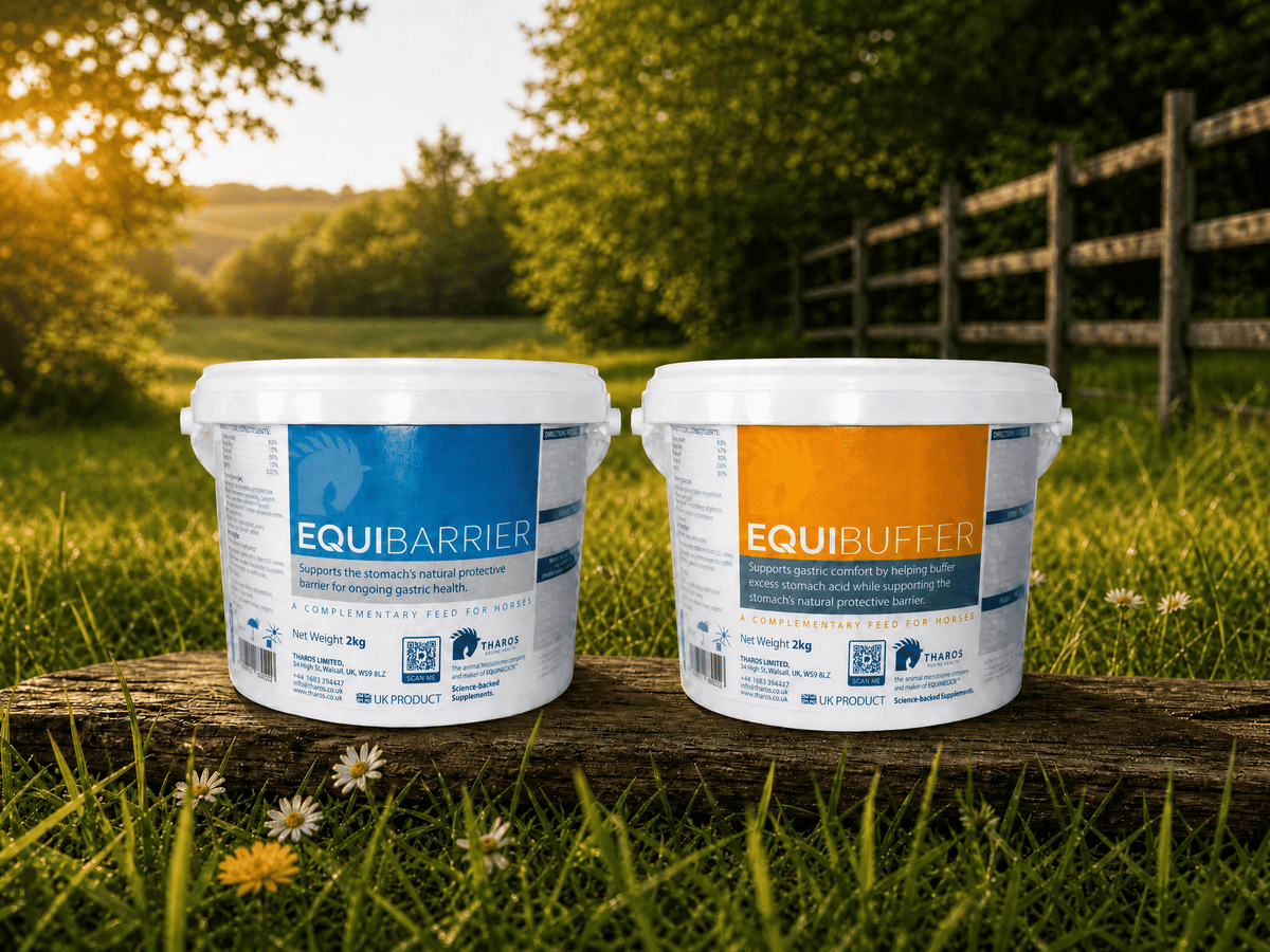 EquiBarrier or EquiBuffer? Understanding Your Horse’s Gastric Support