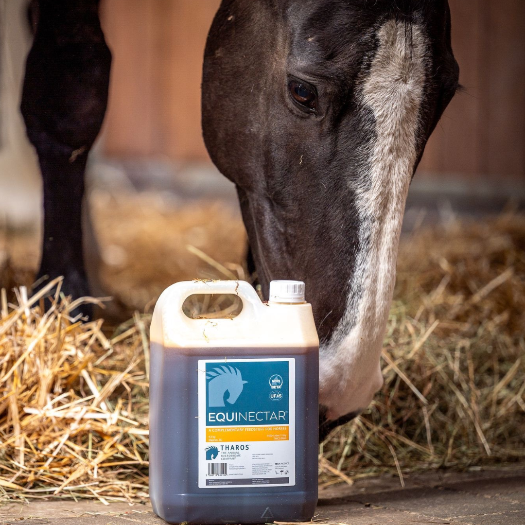 EquiNectar Ingredients & Enzymes