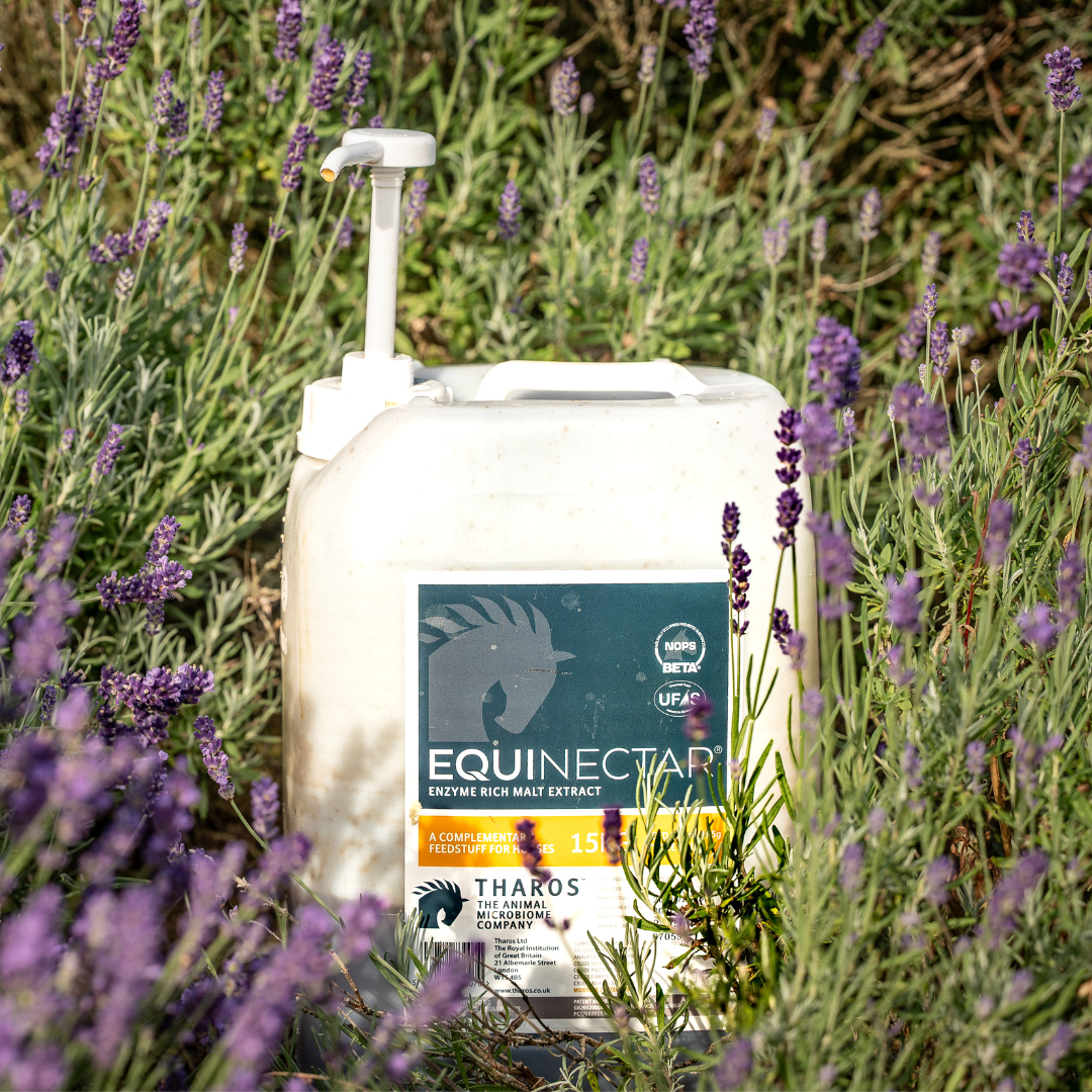 EquiNectar: Sustainability Without Compromise