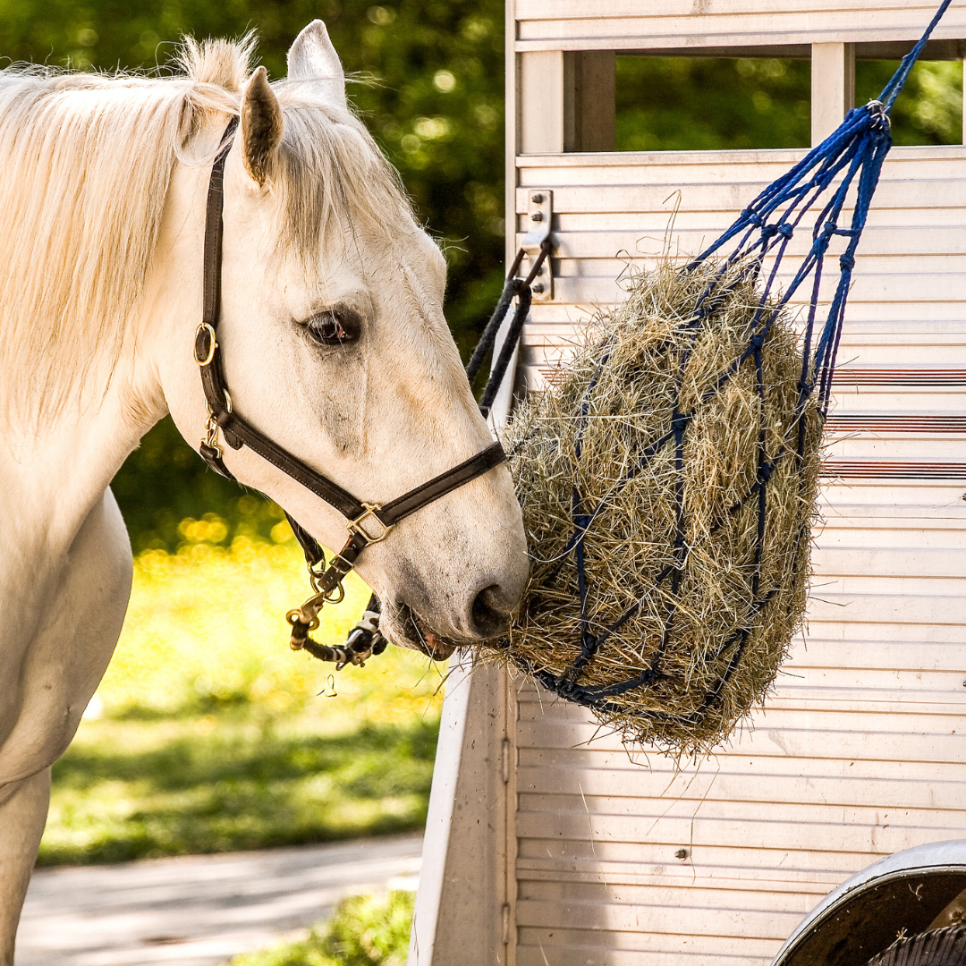 Haylage for Horses: An In-Depth Guide