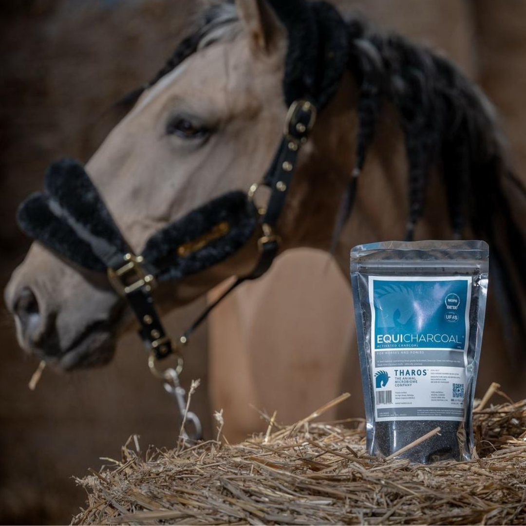 How your horse digests its feed and the problem of undigested starch