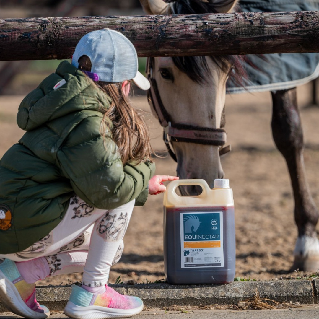 IFNM – Modulation of the equine microbiome by pasture and feed supplements: A metabolomics approach