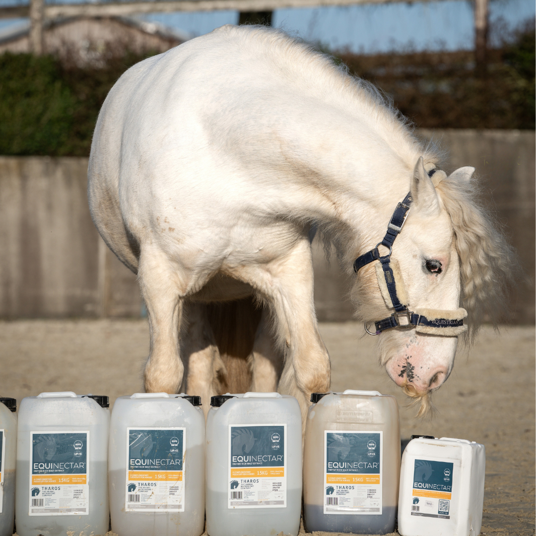 The Magnesium Paradox: Why 'Calming' Supplements Can Cause Hyper-Reactivity