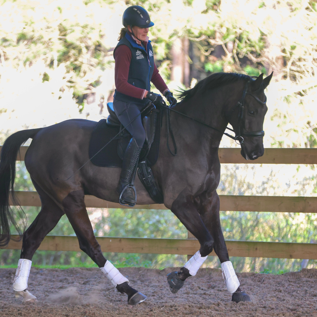 Squire, an EquiNectar owner story