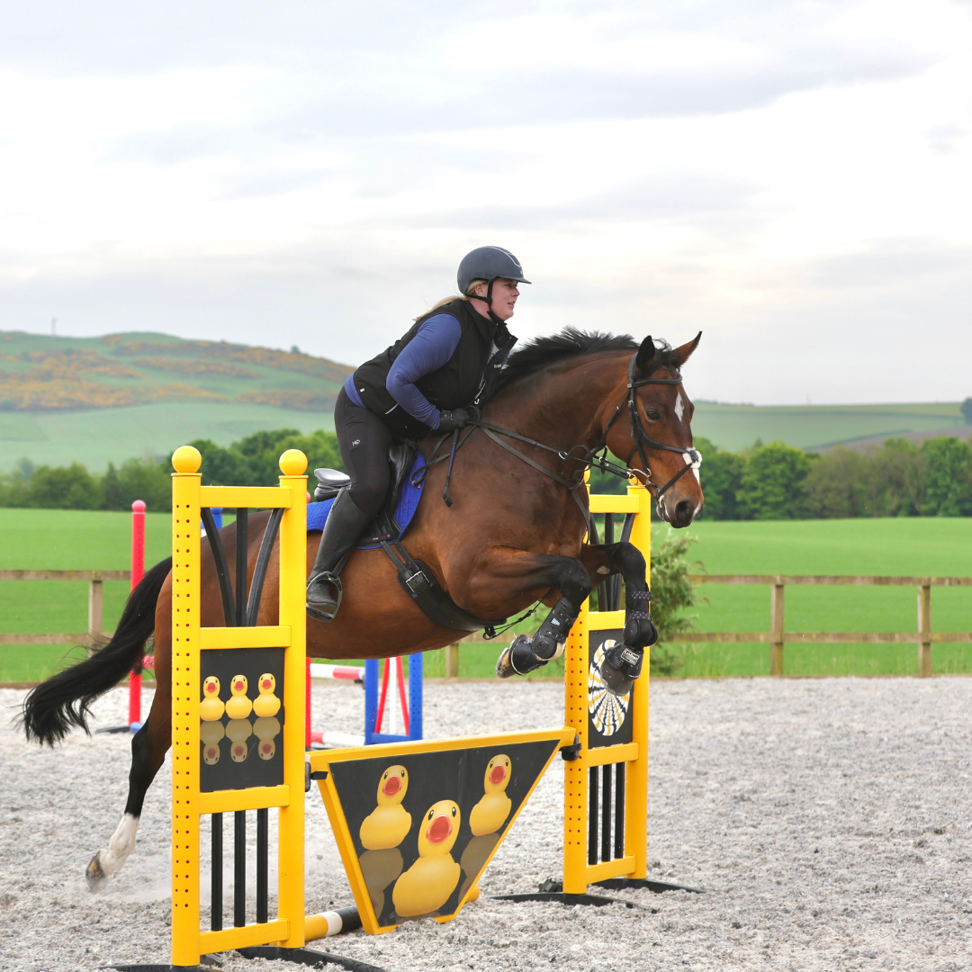 Horse of the week – Maddie