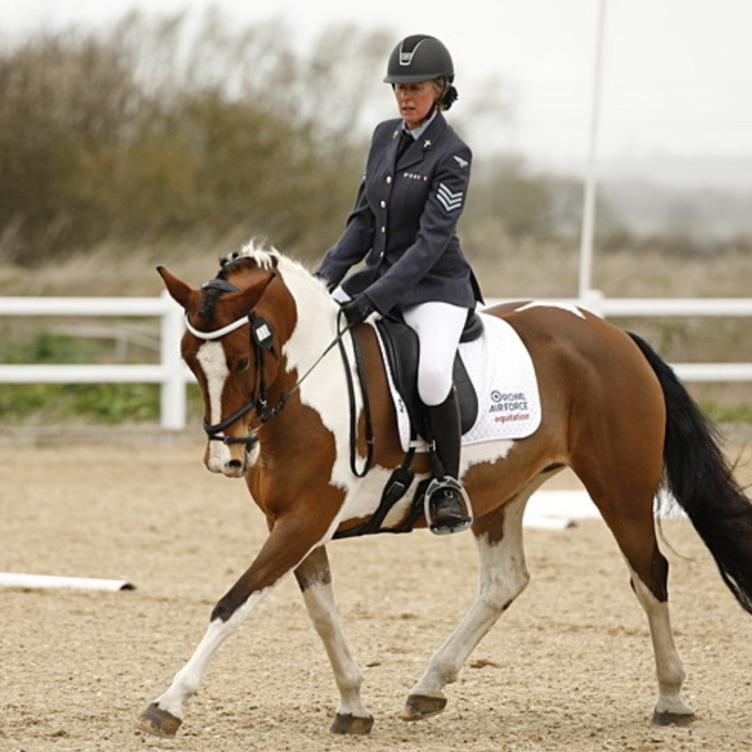 Horse of the week - Maisie #1