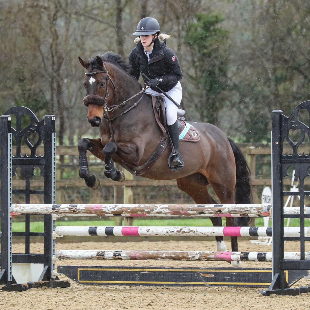 Horse of the Week – Mimi