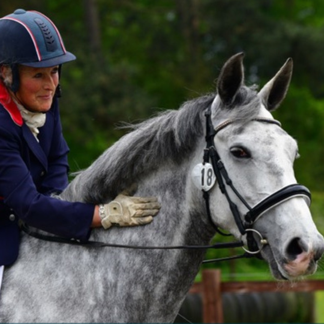 Horse of the Week – Petra