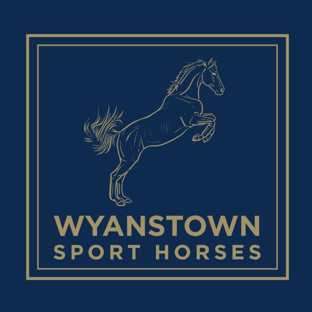 Horses of the week – Ailsa Sexton’s Journey with Equinectar