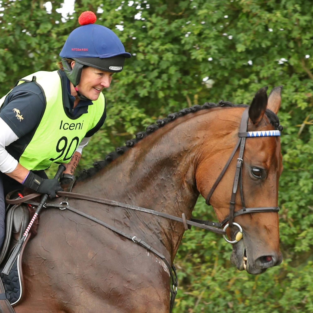 Horse of the week – Cru