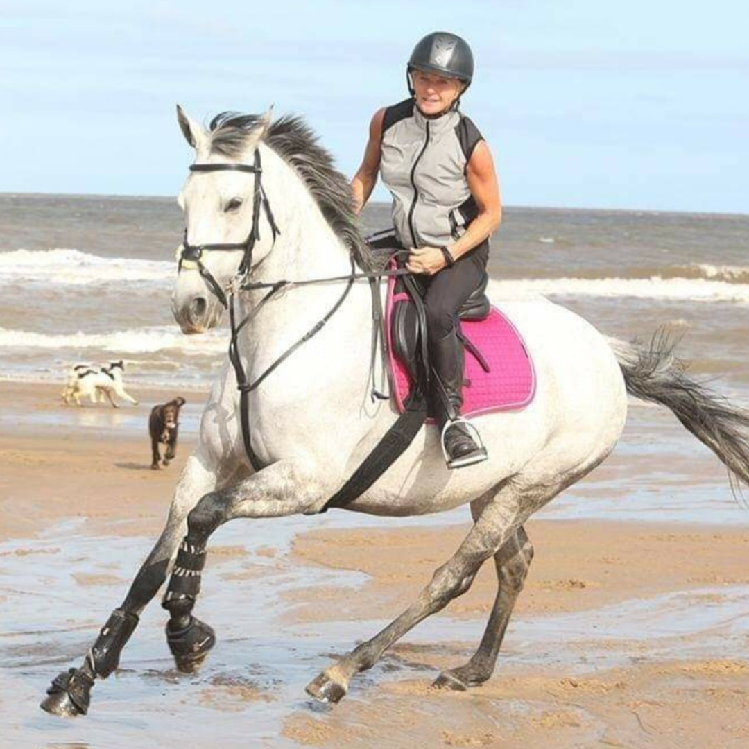 Horse of the week – Darcy