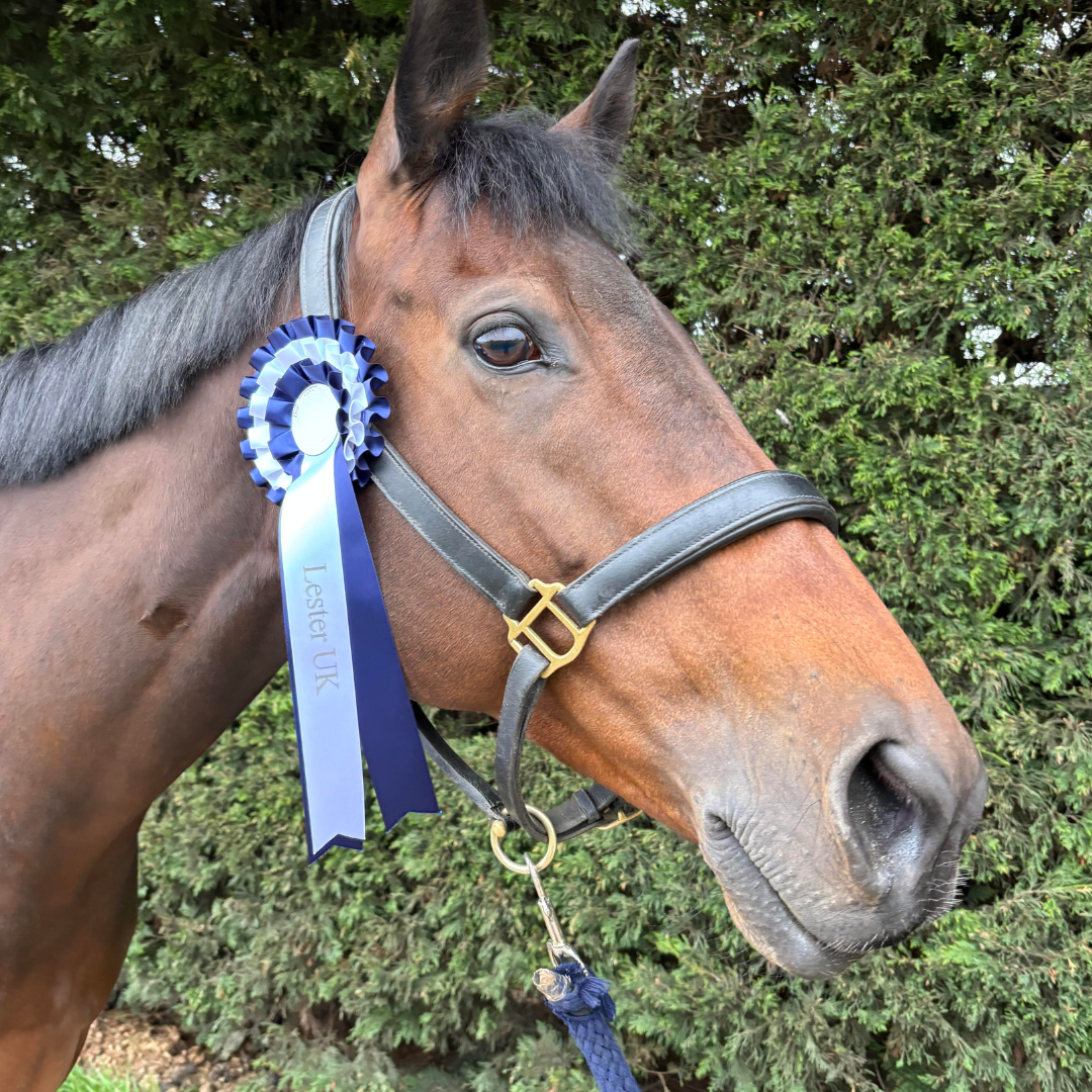 Horse of the week - Kea